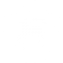 Stefanidis_Logo